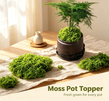 Artificial Green Moss Sheets, Realistic Fake Moss Mats for Indoor and Outdoor Garden, Pot Cultivation, and Wedding Decor